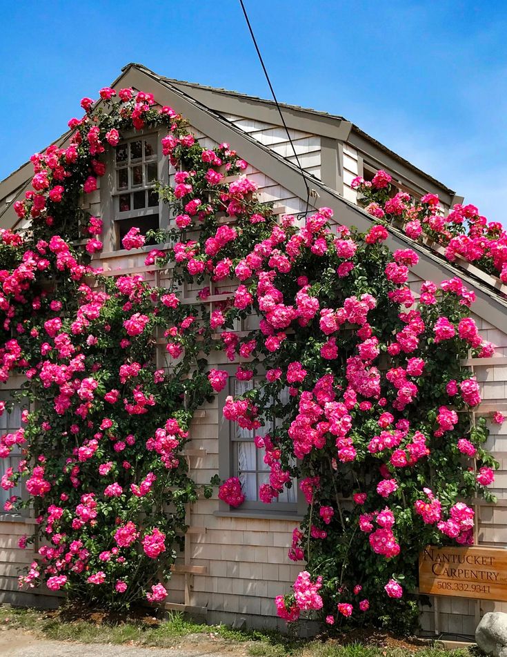 a house with pink flowers growing on it