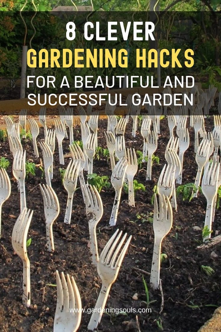 there are many forks that have been placed in the ground for garden gardening hacks