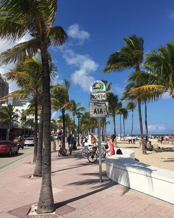 palm trees line the beach as people walk and ride bikes in front of it on a sunny day