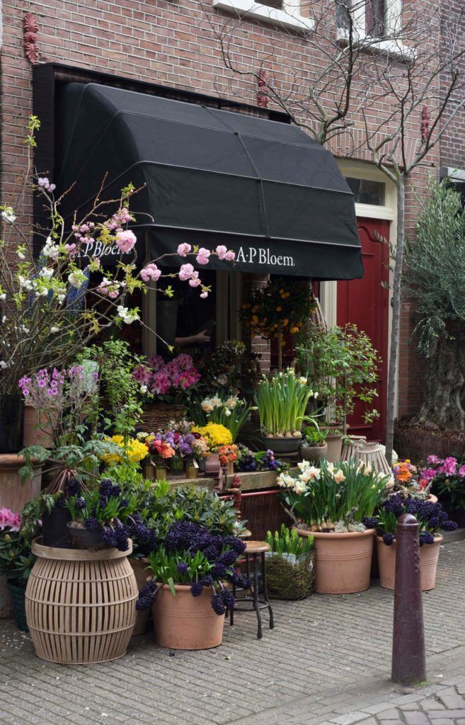 an outdoor flower shop with potted plants and flowers