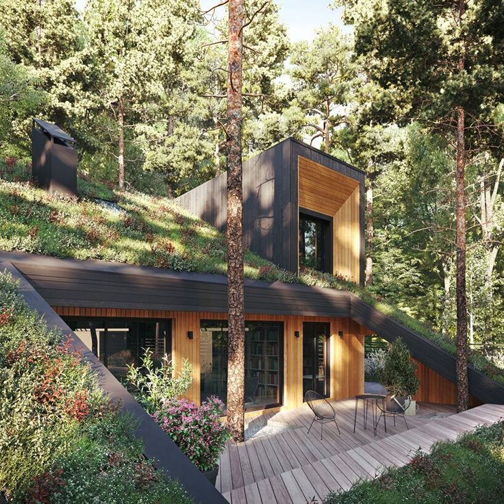 an artist's rendering of a house in the woods with stairs leading up to it