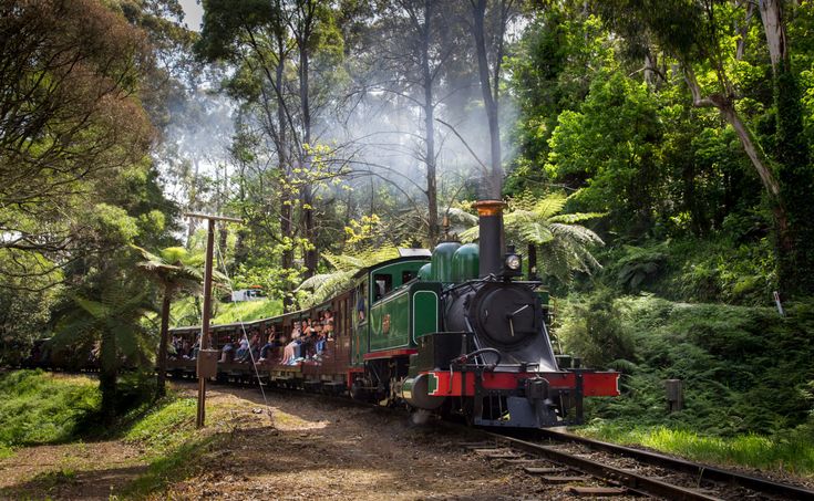 a green and red train traveling through a forest filled with lots of trees on top of it