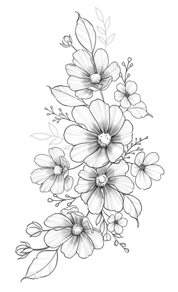 a black and white drawing of flowers with leaves on the bottom half of each flower