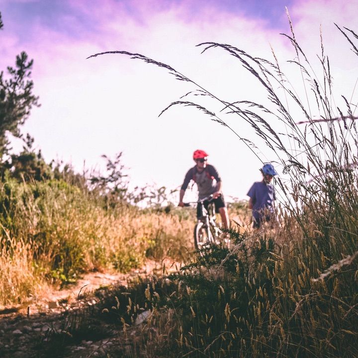 two people riding bikes down a dirt road next to tall grass and trees on a sunny day