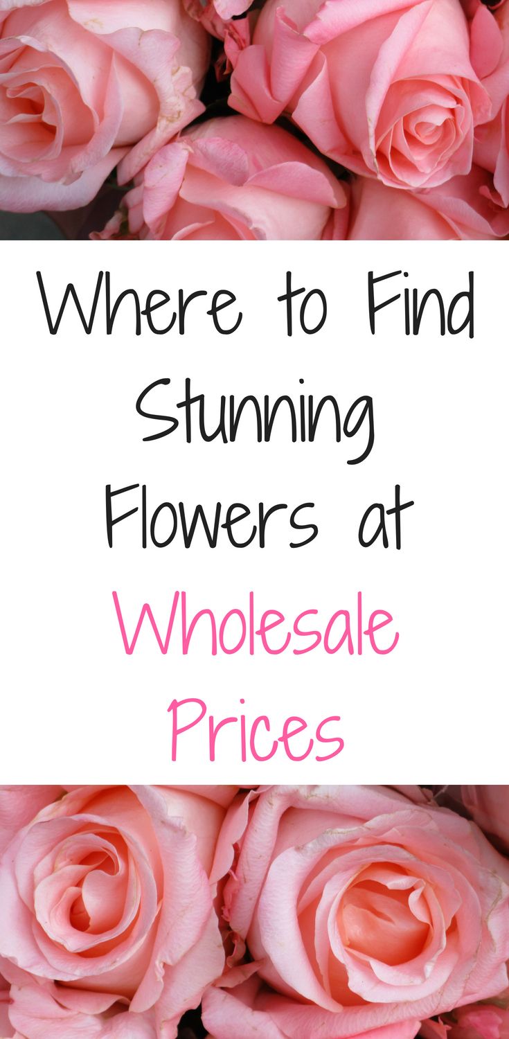 pink roses with the words where to find stunning flowers at wholesale prices in white text