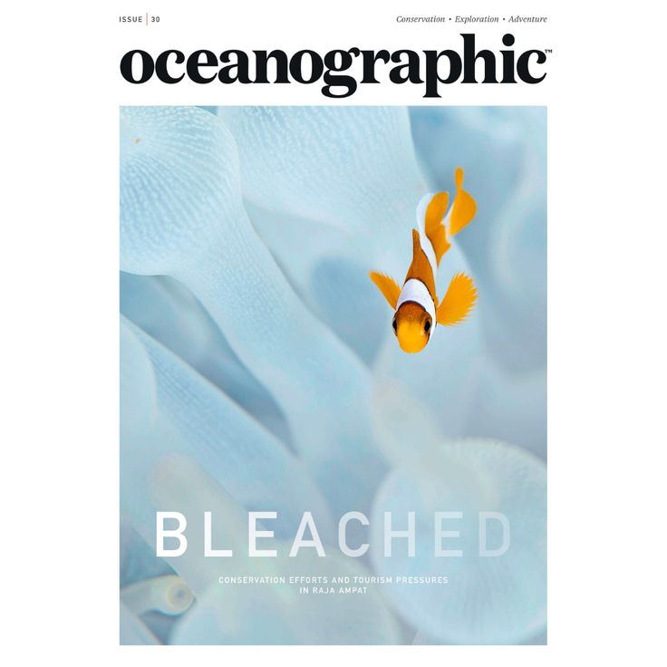 the front cover of an ocean graphic magazine, featuring an orange and white clownfish