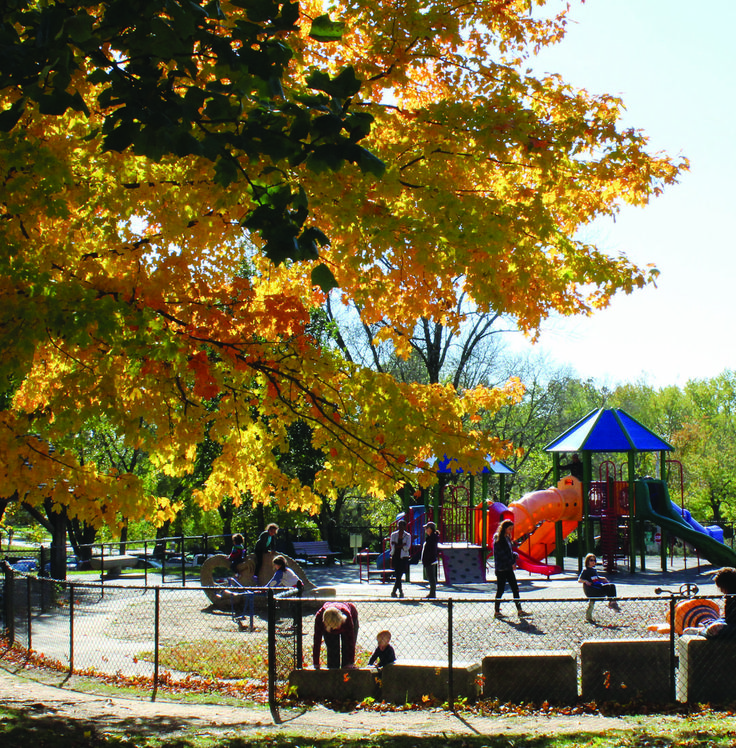 children playing in the park on a sunny day with fall foliage and trees around them