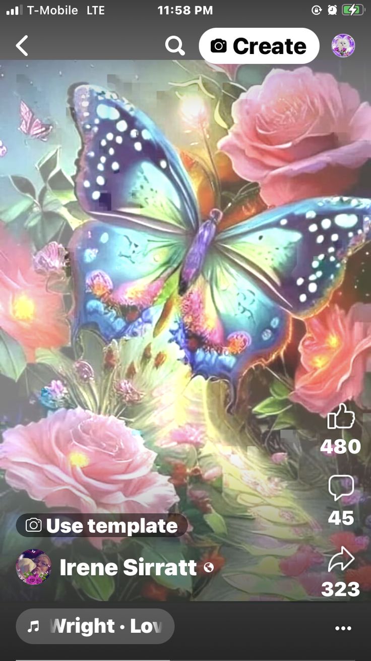 an image of a butterfly and flowers on the phone screen, with text that reads create