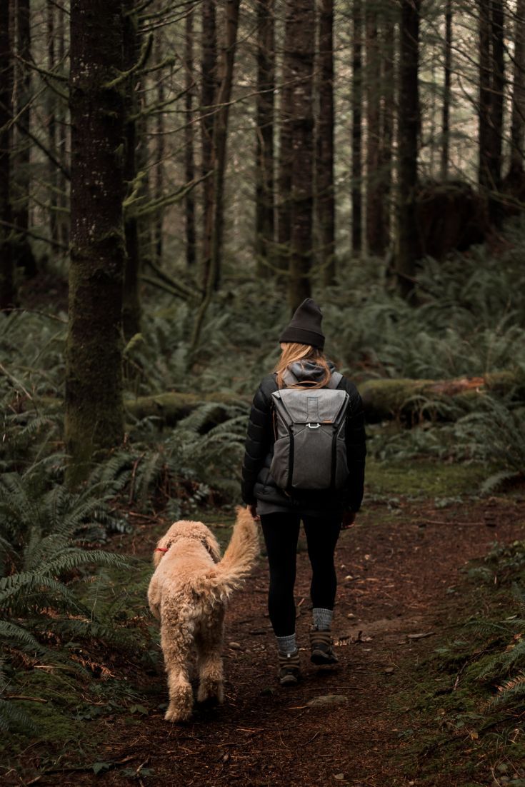 a person walking with a dog in the woods