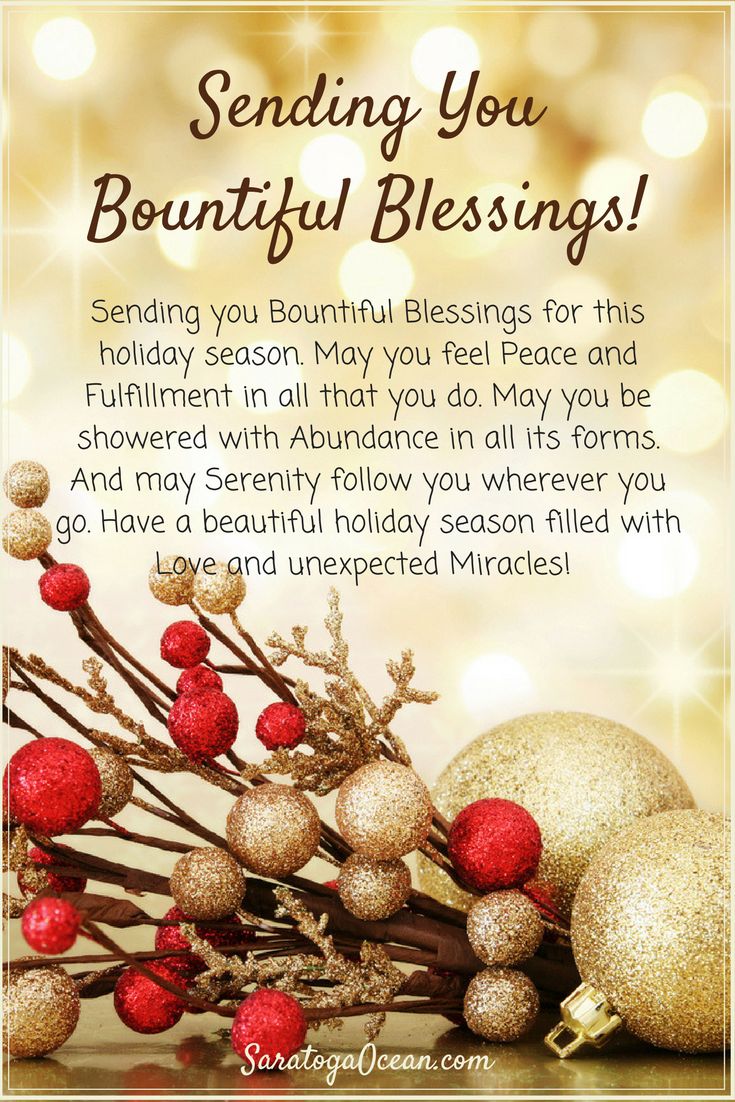 a christmas card with ornaments and berries on the branch, says sending you beautiful blessings