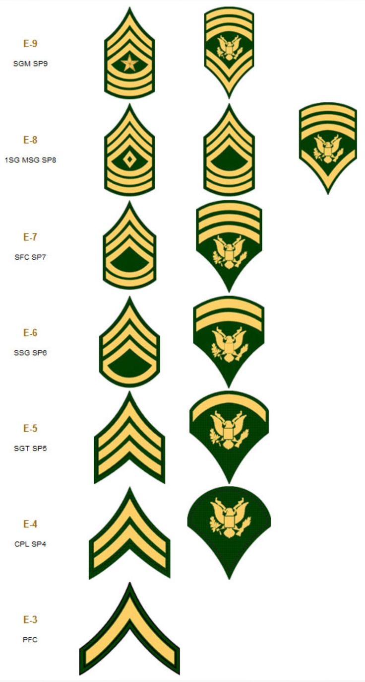 Military, Armed Forces, Military Ranks, Us Military, Military Armor, Army Ranks, Airborne Army, Military Insignia, Ranger