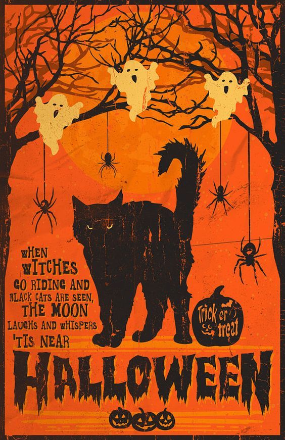 an orange poster with black cats and bats