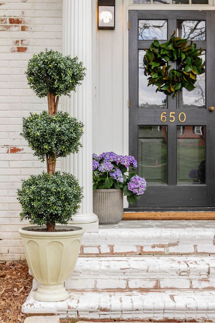 two potted plants on the front steps of a house