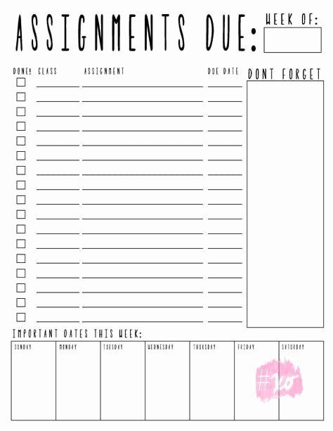 the printable worksheet for students to do their homeworks with pink ink