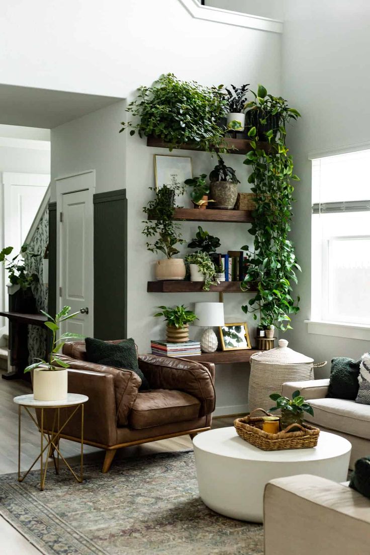 a room filled with lots of plants and decor