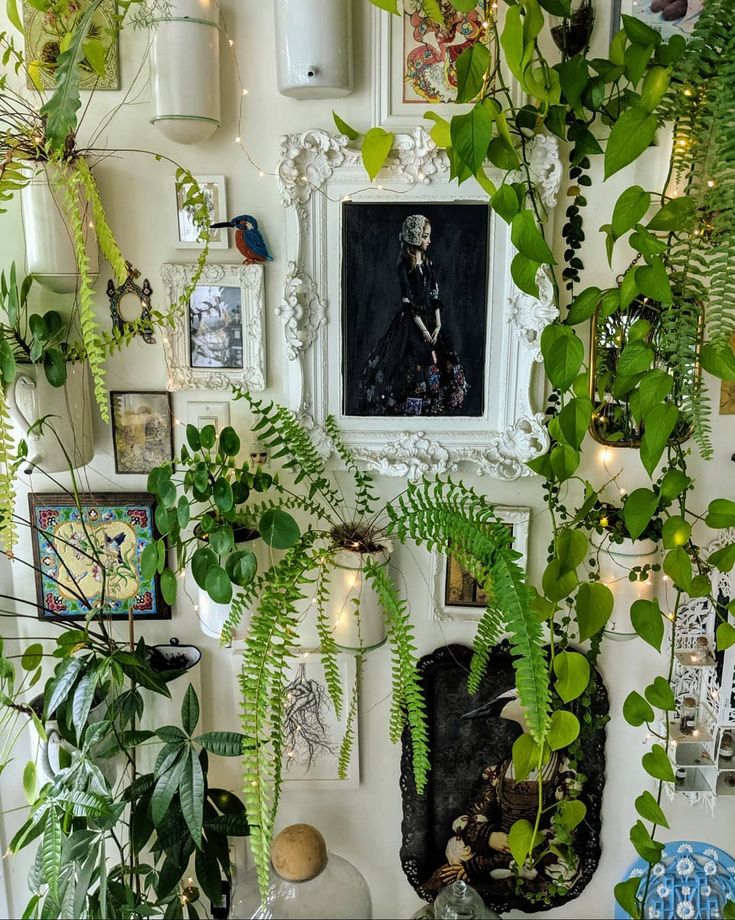 there are many plants and pictures on the wall