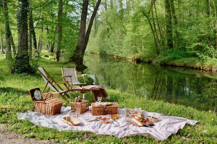 a picnic is set up on the bank of a river