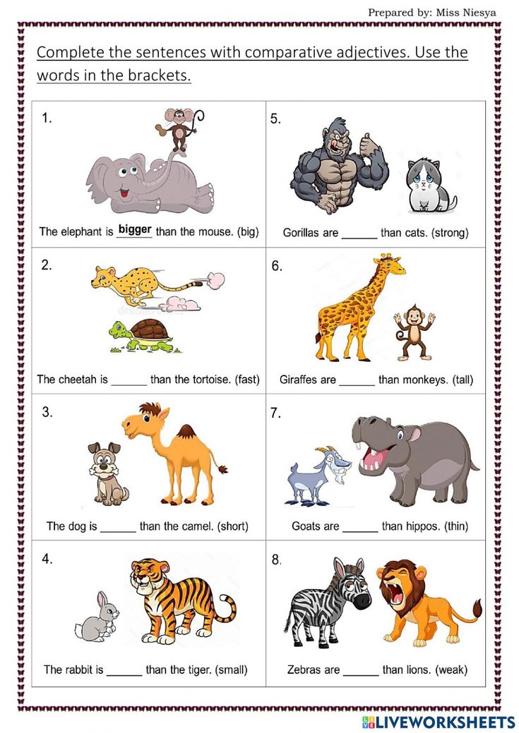the complete worksheet for comparing different animals and their names in this worksheet