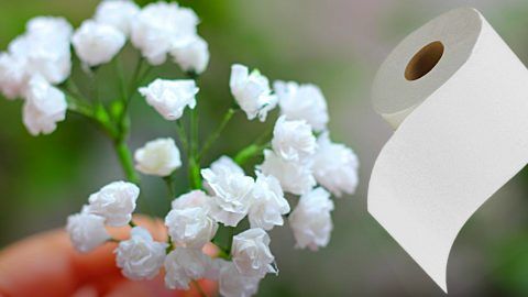 a hand holding a roll of toilet paper next to a bunch of small white flowers
