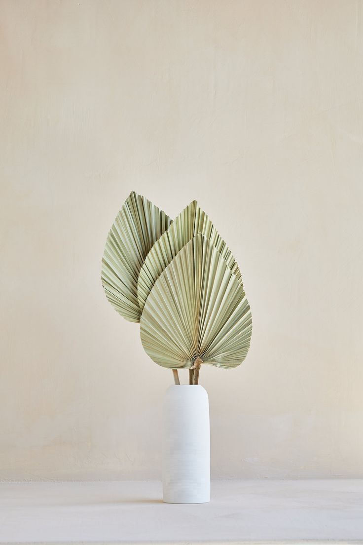 three green leaves in a white vase against a beige wall with no one around them