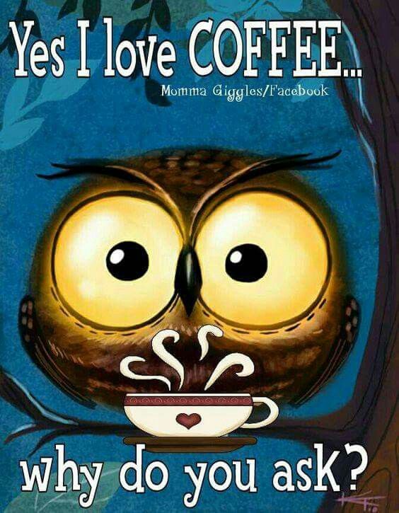 an owl is drinking coffee with the caption, why do you ask?