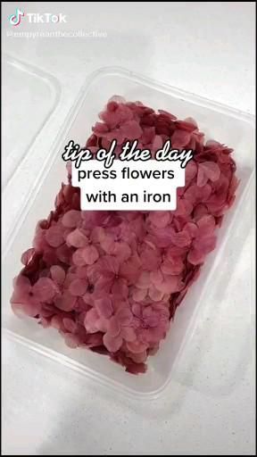 flowers in a plastic container with the words tip of the day press flowers with an iron