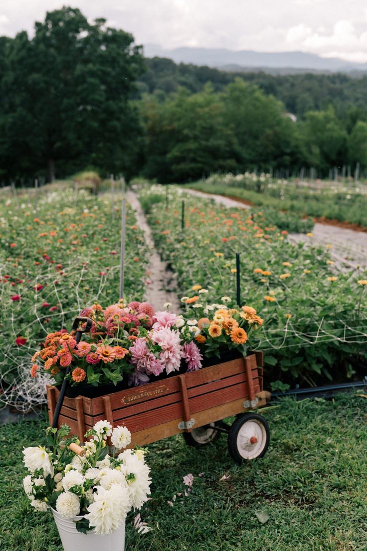 a wooden wagon filled with lots of flowers