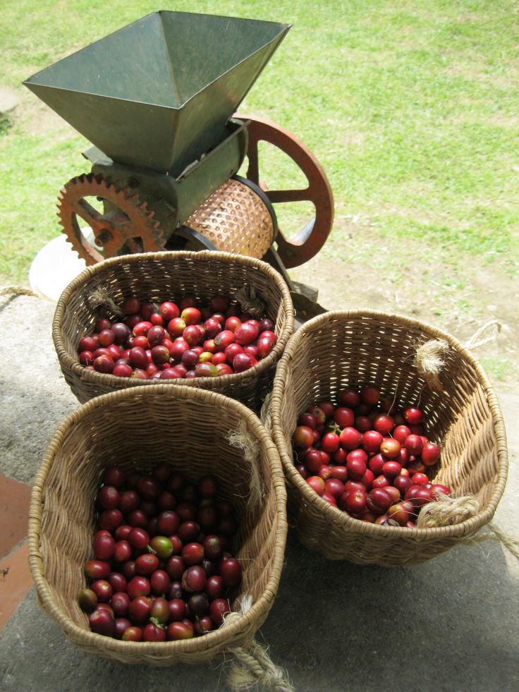three baskets filled with cherries sitting on top of a stone slab next to a metal grinder