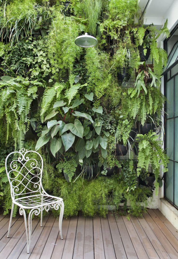 a white chair sitting on top of a wooden floor next to a lush green wall