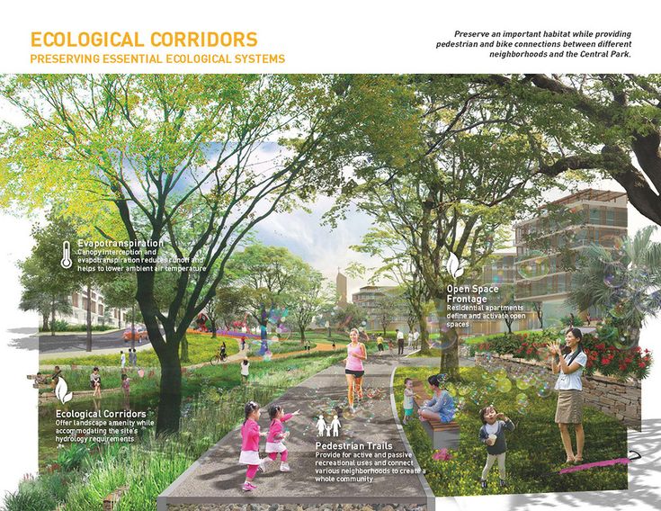 an artist's rendering of a park with trees and people