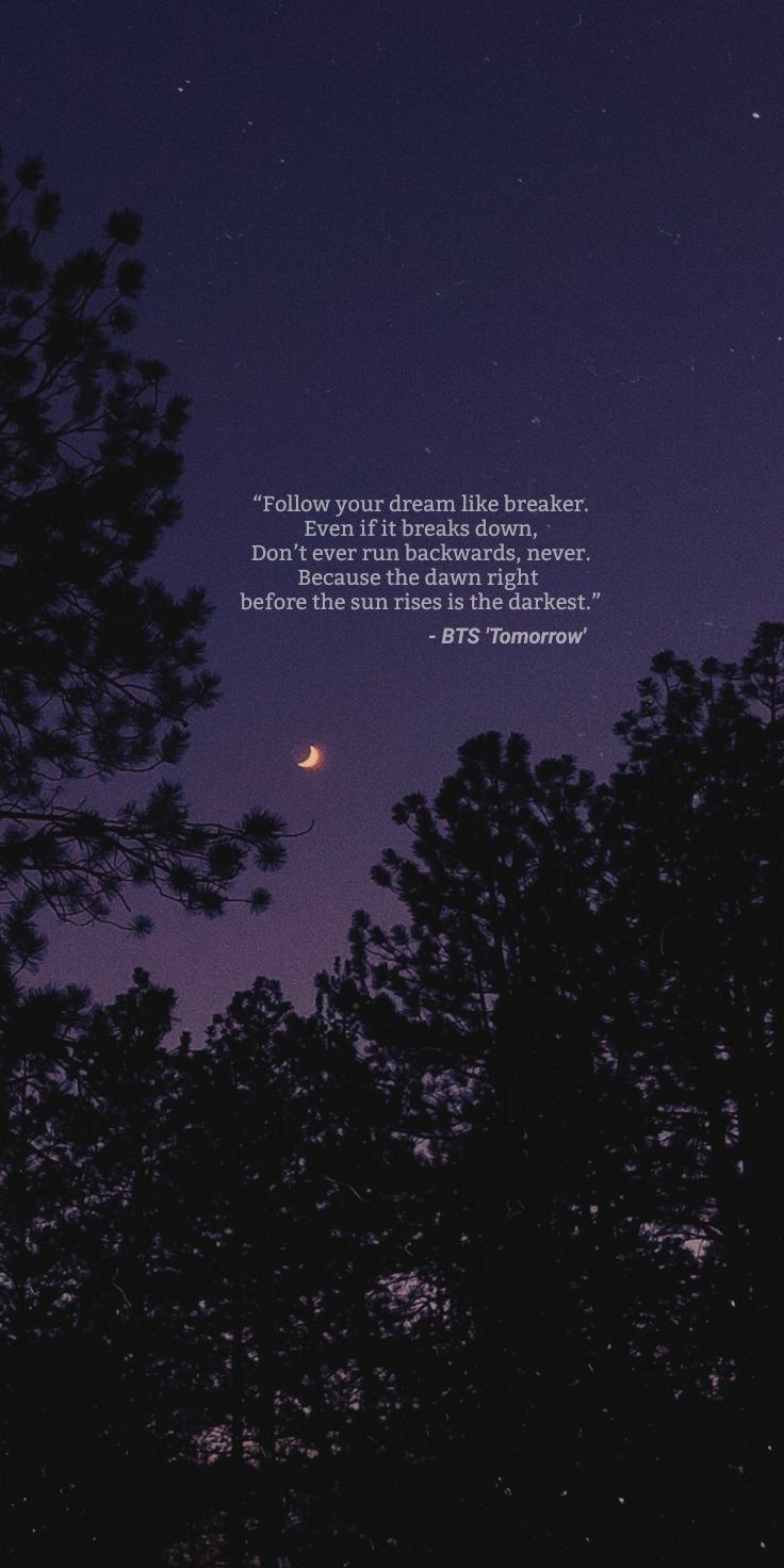 the night sky and trees with a quote written on it