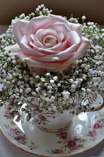 a pink rose sits in a teacup with baby's breath on the saucer