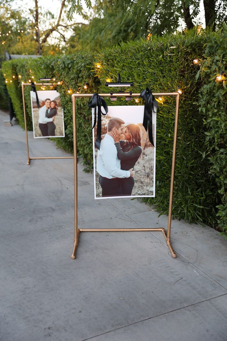 two pictures hanging on a metal frame with lights strung from it and some bushes behind them