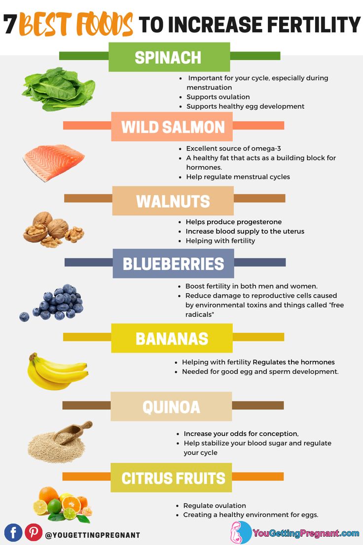the 7 best foods to increase fertiity infographical poster with fruits and vegetables
