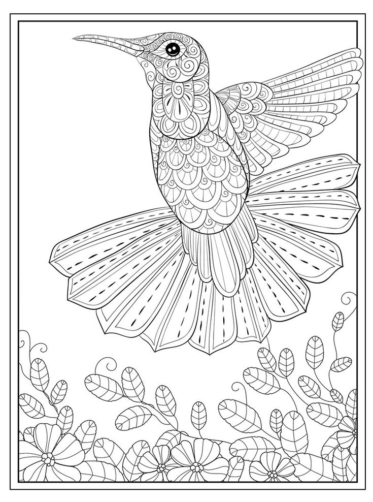 a coloring page with a hummingbird in flight