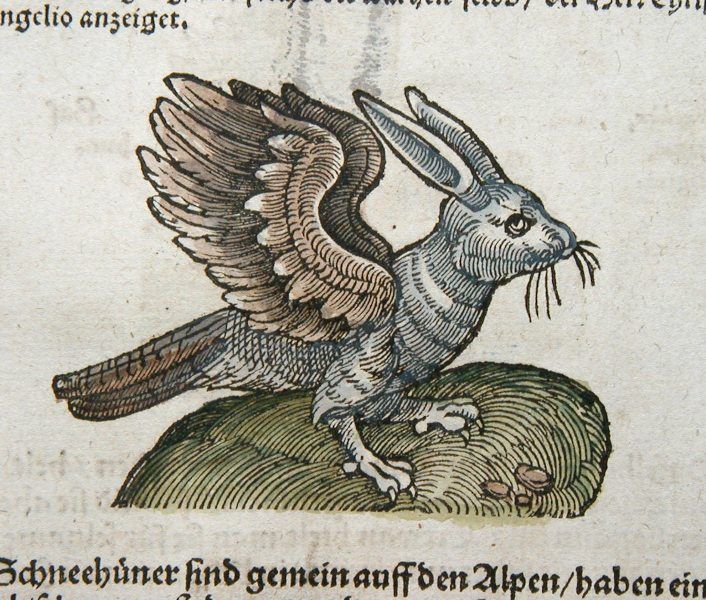 an illustration of a bird with its wings spread