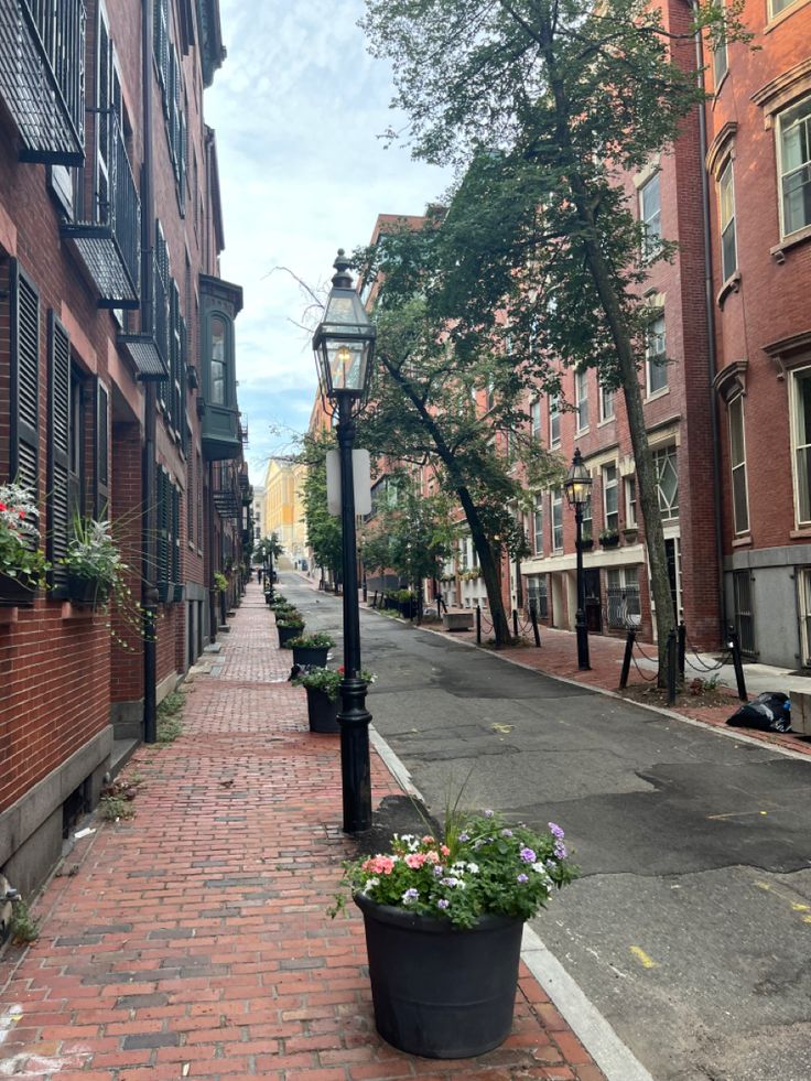 an empty street lined with brick buildings and flowers in the planter on the sidewalk