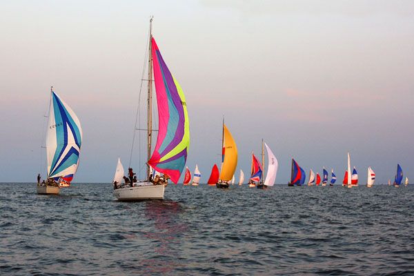 a group of sailboats sailing in the ocean on a cloudy day with colorful sails