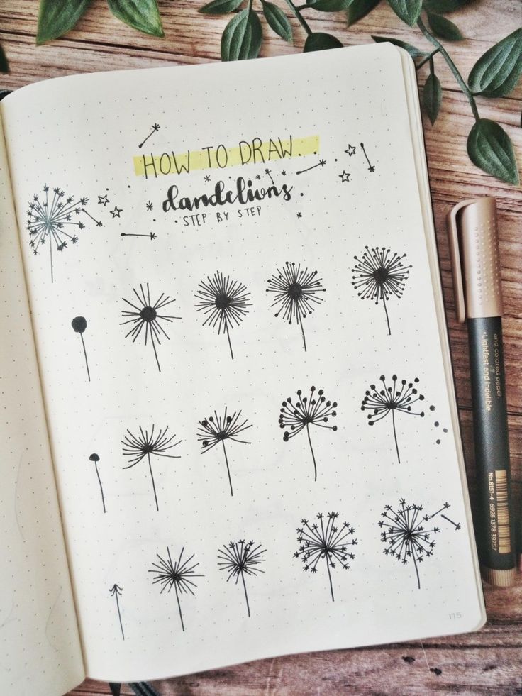 an open notebook with dandelions drawn on it