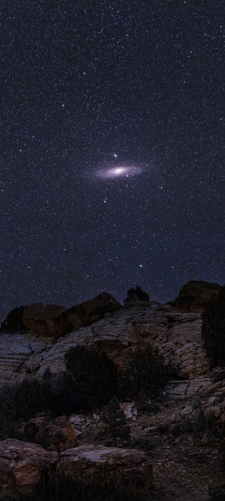 an image of the night sky with stars above rocks and trees in the foreground