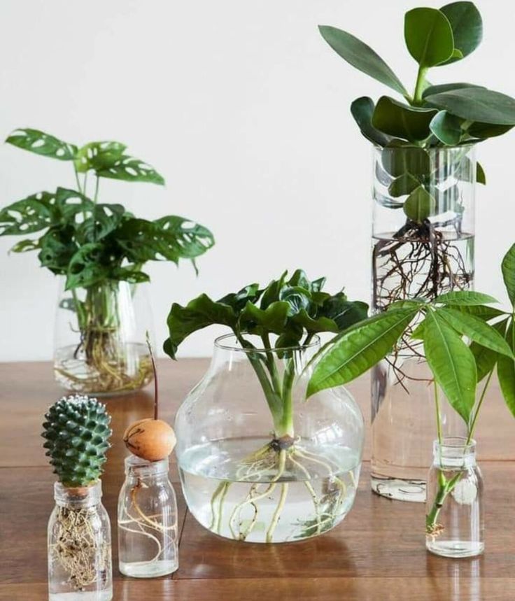 three vases filled with plants on top of a wooden table
