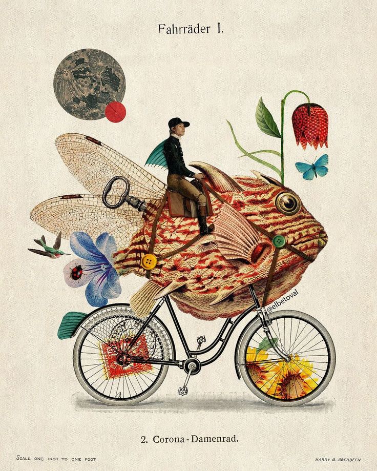 a man riding on the back of a bike next to flowers and an insect in front of him