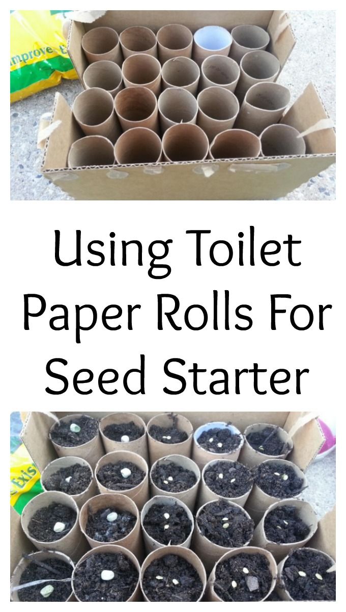 two pictures with the words using toilet paper rolls for seed starter and an image of several pots
