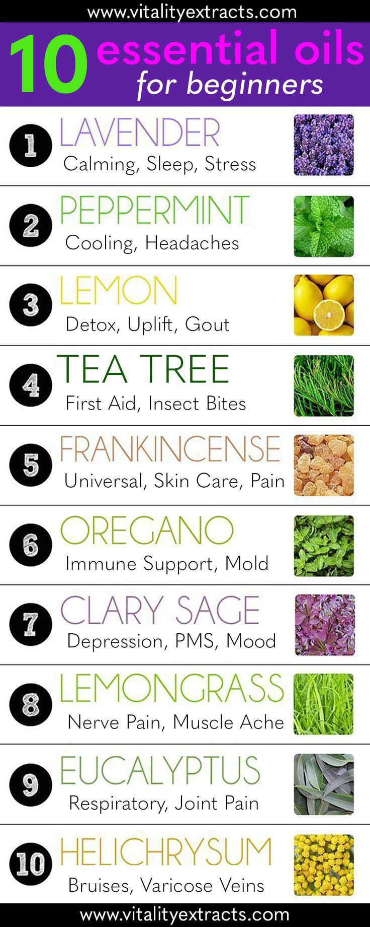 the top ten essential oils for beginners