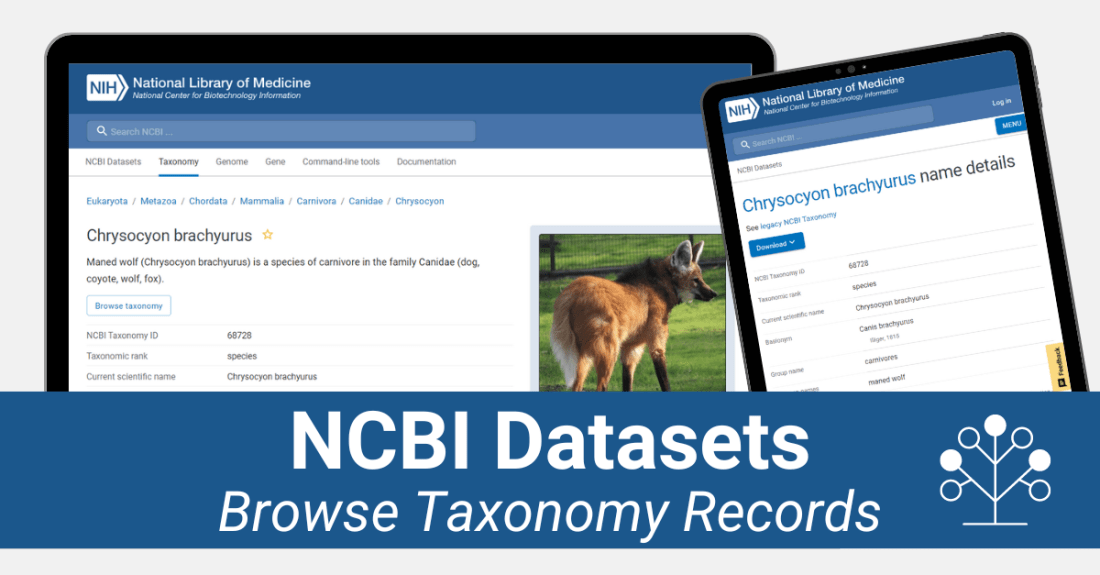 Browse Taxonomy Records with NCBI Datasets