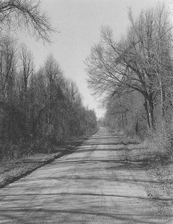 Country Road, Early Spring, Near Marks, Quitman County, Mississippi, photograph by Maude Schuyler Clay © 1997. See more at the Jennifer Schwartz Gallery.