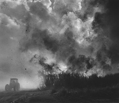 Burning Cane, Louisiana, photograph by Debbie Fleming Caffery © 1999. See more at the Jennifer Schwartz Gallery.
