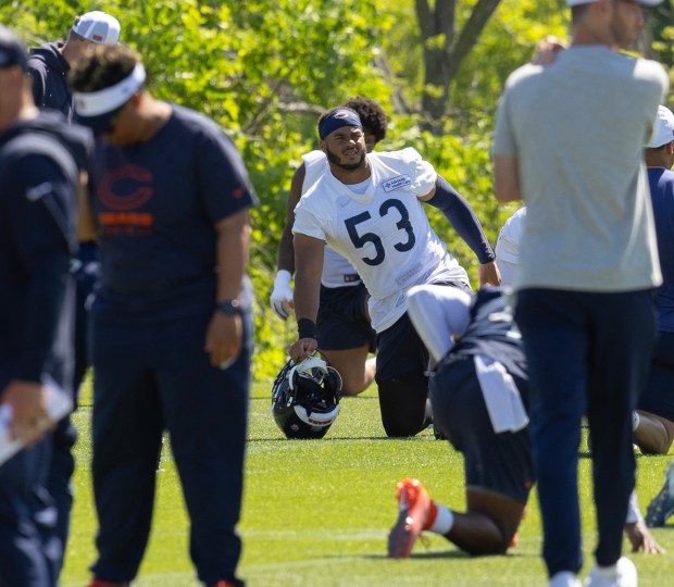 Chicago Bears linebacker T.J. Edwards (53) during Bears minicamp at Halas Hall on June 6, 2024, in Lake Forest (Stacey Wescott/Chicago Tribune)