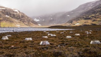 More than a dozen plastic containers dot the greenish-brown vegetation in the foreground of this Arctic tundra site in Sweden. A body of water and mountains shrouded in mist are visible in the background.