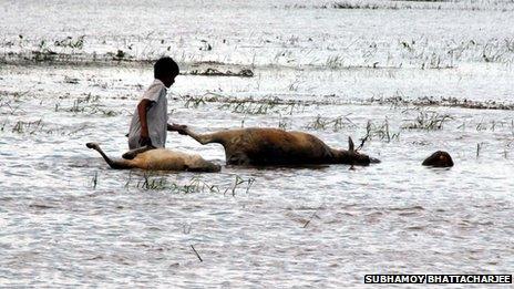 Assam floods/2013